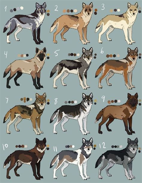 Pin by piko poke on 素材 | Wolf colors, Canine drawing, Dog design art