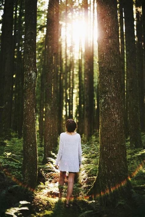 20 Forest Photography Ideas For Your Inspiration · Inspired Luv