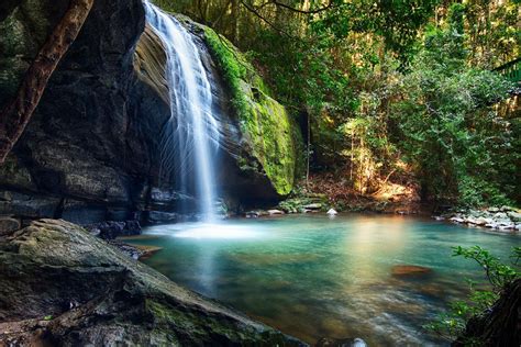 Waterfalls and Walks on the Sunshine Coast - Coco Mooloolaba