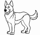 German Shepherd Coloring Pages  Free Printable For Kids sketch template