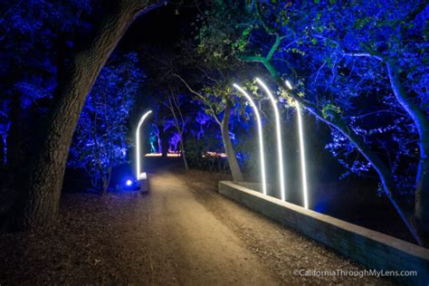 Descanso Gardens: Enchanted Forest of Lights Christmas Lights Display ...