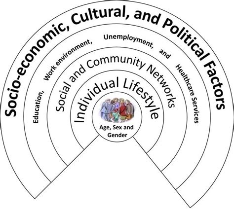 Dahlgren and Whitehead's model of health determinants (adapted from... | Download Scientific Diagram