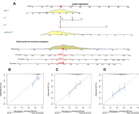 Nomogram for predicting the 1-and 3-and 5-year OS in patients with... | Download Scientific Diagram