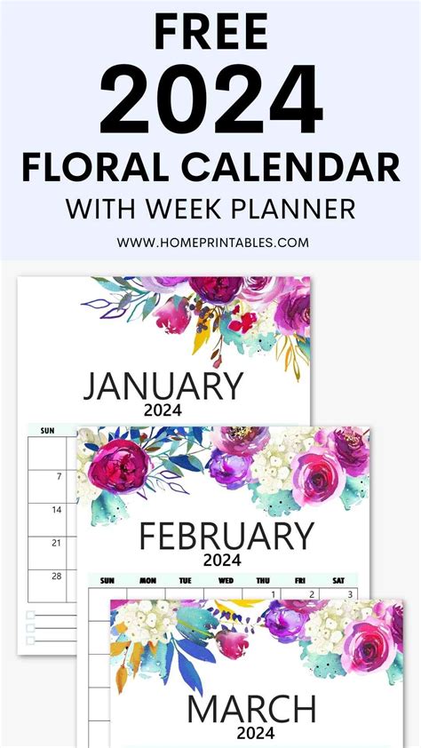 Calendar 2024 Printable Floral 2024 Calendar Printable | Porn Sex Picture