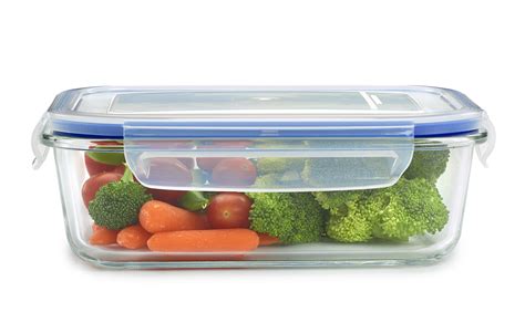 1790 Glass Food Storage Containers with Lids, Glass Meal Prep ...