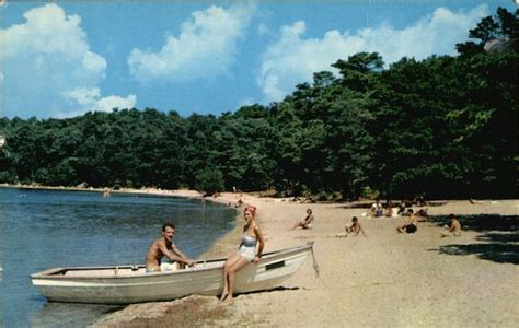 Nickerson State Park Brewster, MA Haydn Mason Postcard