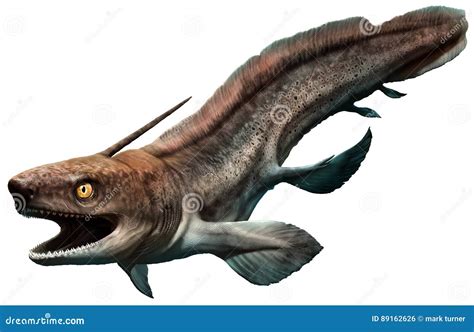 Xenacanthus Shark Open Mouth Royalty-Free Stock Image | CartoonDealer ...