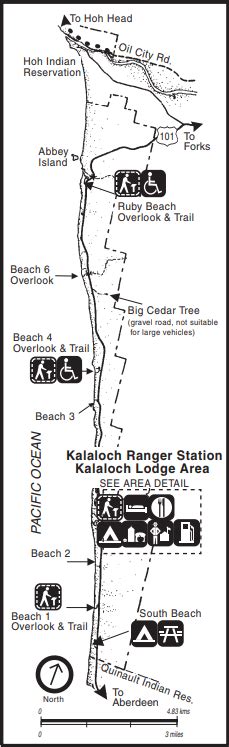 Kalaloch Area Brochure - Olympic National Park (U.S. National Park Service)