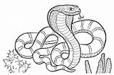 Coloring Pictures Of Snakes For Kids Images High sketch template