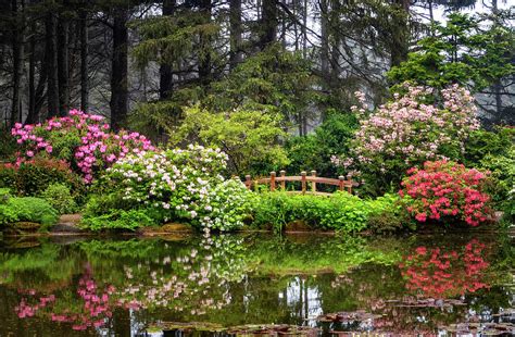 Shore Acres Botanical Gardens Photograph by Carolyn Derstine - Fine Art America