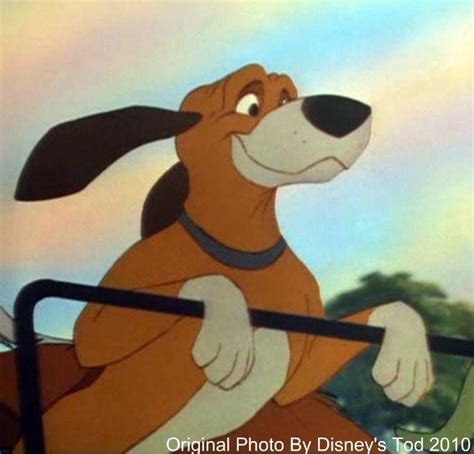 copper - The Fox and the Hound Photo (18194708) - Fanpop