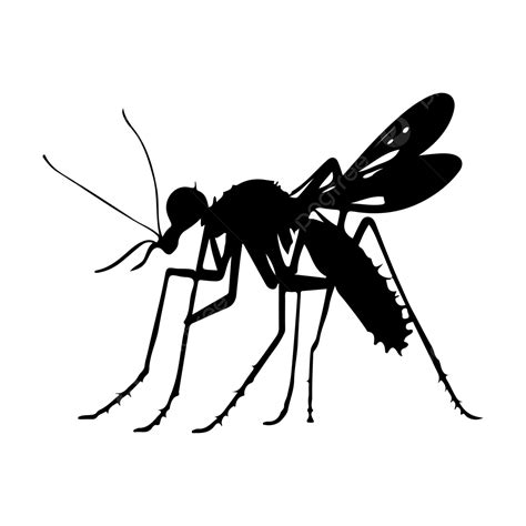 Black Hand Draw Dengue Mosquito Vector, Mosquito Drawing, Mosquito ...