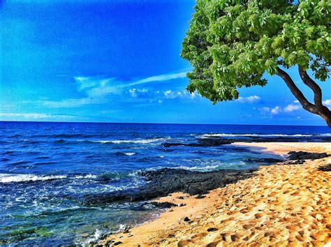 Lanai beach | Hawaiian beaches, Beach, Lanai