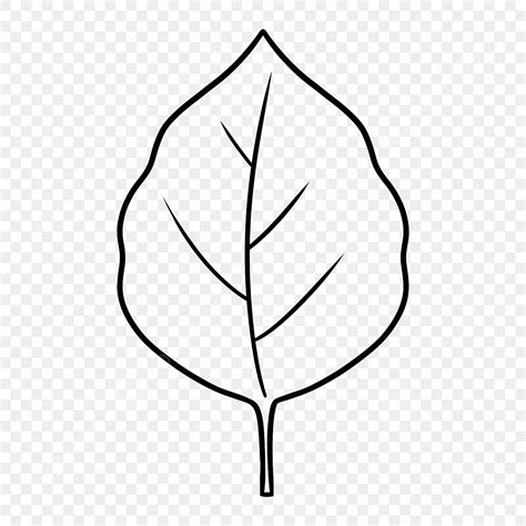 Ilustrações Em Preto E Branco De Folhas Naturais PNG , Clipart De Folhas Em Preto E Branco ...