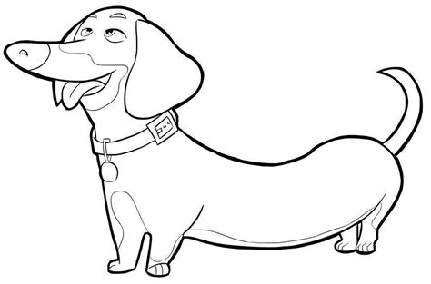 Cute Baby Weiner Dog Coloring Pages Coloring Pages