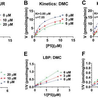 Enzyme kinetics-inhibition and Lineweaver-Burk plot analysis of... | Download Scientific Diagram