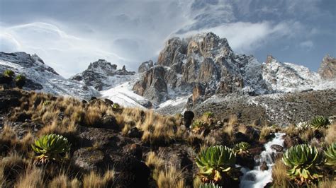 Glorious solitude on Mt Kenya - Lonely Planet