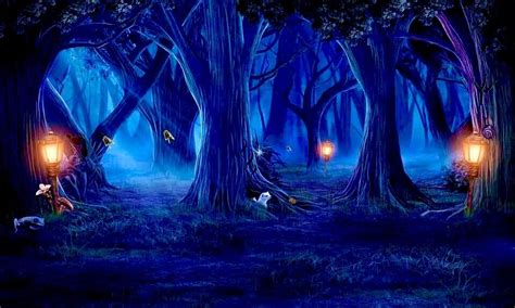 Forest Scene at Night | Anime Scenery Wallpaper