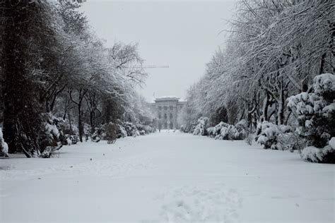 Best ways to embrace winter in Bucharest - Urban Adventures