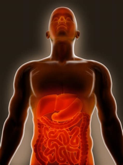 [DIAGRAM] Diagram Of The Hepatic Flexure - MYDIAGRAM.ONLINE