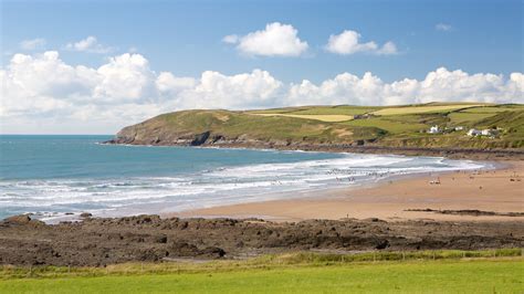 Pet-Friendly Hotels from £62 - Find Cat & Dog Friendly Hotels in North Devon Coast | Expedia