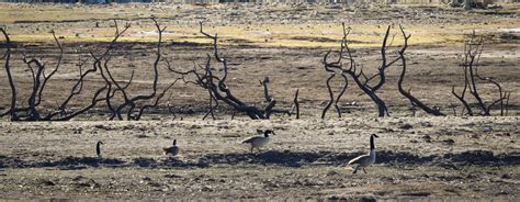 South West Water was ‘not honest’ about drought risk to water supplies ...