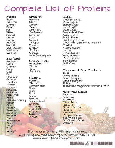 High Protein Foods List Printable Chart