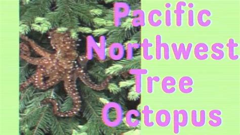 The Pacific Northwest Tree Octopus - YouTube