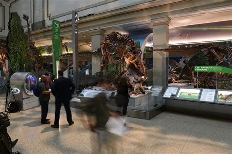 Smithsonian Natural History Museum dinosaur and fossil hall reopens