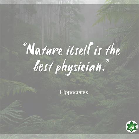 â Nature itself is the best physician.â - Hippocrates #queenoftheforest #amazon # ...