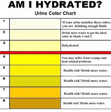 Printable Urine Hydration Chart