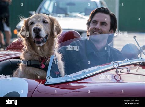 MILO VENTIMIGLIA in THE ART OF RACING IN THE RAIN (2019), directed by ...