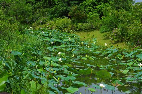 Hong Kong Wetland Park Travel: Entrance Tickets, Travel Tips, Photos and Maps – China Travel ...