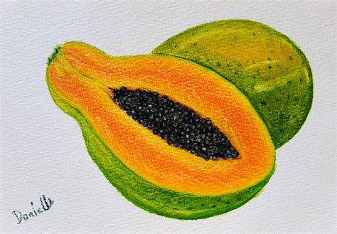 Papaya, Drawing by Danielle Siauw | Artmajeur