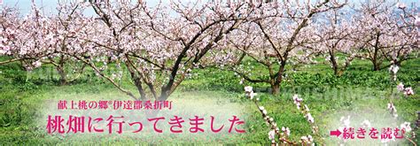 【楽天市場】【数量限定】【訳アリ】20世紀 梨 4.5kg箱 8～25玉入 ちょっと傷アリ 不揃い 規格外 ご家庭向け 2022年予約【発送 ...