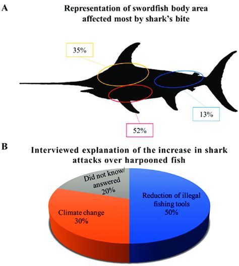 Graphical representation of the main body area where the bites were... | Download Scientific Diagram