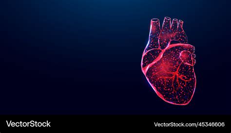 Cardiology concept banner wireframe low poly Vector Image