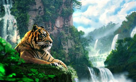 tiger hd wallpaper - KDE Store