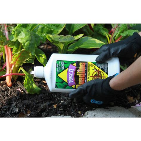 Slug Snail Liquid Killer 32oz Ready-to-Use Slug/Snail Bait Garden Pest Control | eBay