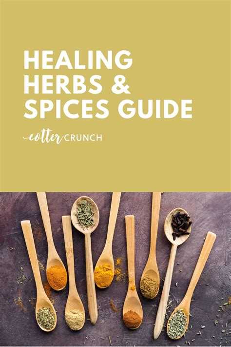 Healing Herbs and Spices List + Guide - Cotter Crunch