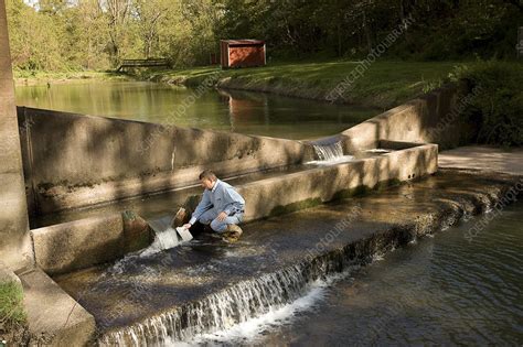 Water sample collection - Stock Image - C025/7082 - Science Photo Library