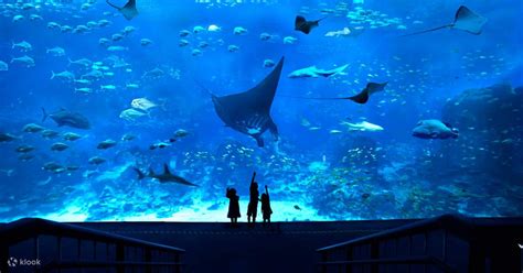 SEA Aquarium Ticket in Sentosa - Klook India