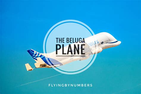 The Beluga Plane: The World’s Strangest Shaped Plane | flyingbynumbers.com