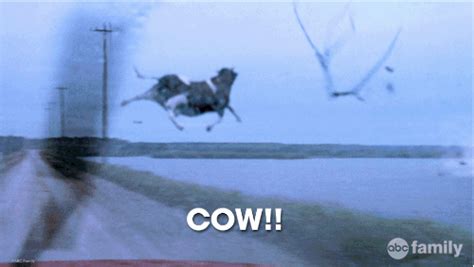 We got cows.... from Twister | Great Movie Lines | Pinterest | We ...