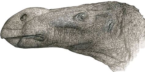 Scientists discover unusual big-nosed dinosaur species... | Gamer Uprising