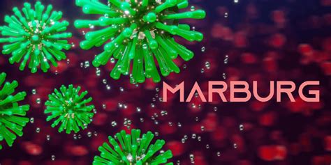 Marburg Virus: Overview, Signs & Symptoms, Causes & Treatment