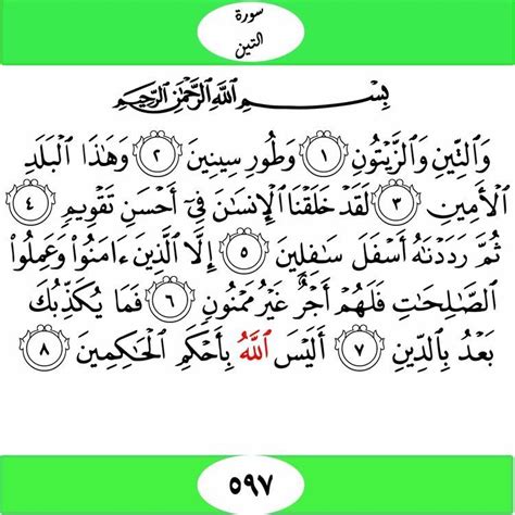 Discover the Magic of Surah Al-Tin and Al-Zaitoun