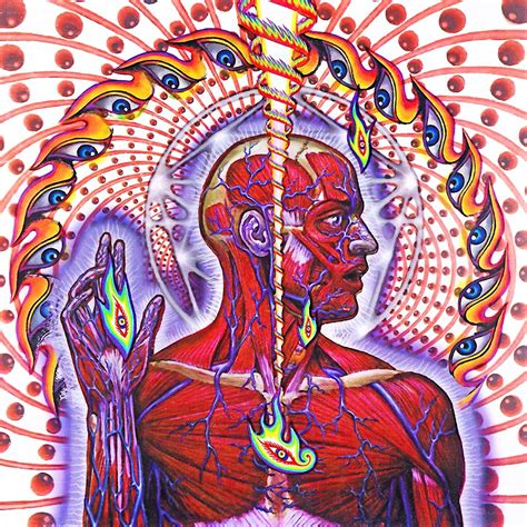 Tool Lateralus ALTERNATE COVER 12x12 Album Cover Replica Poster Gloss ...