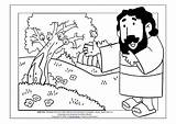 Parable Of The Mustard Seed Bible Coloring Se  Vrogueco sketch template