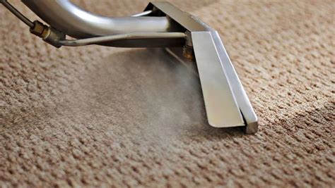 Eco-Friendly Carpet Cleaning - Serve green Cleaning